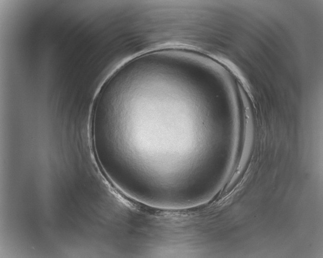X0000076220670200610051101