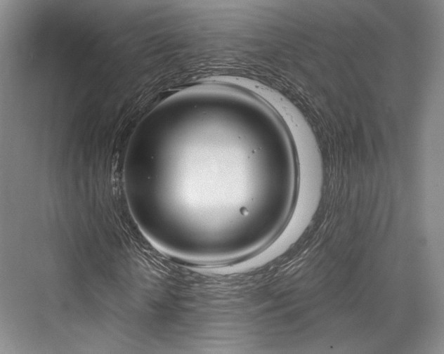 X0000076220674200610051102