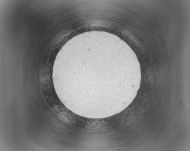 X0000076220680200610051102