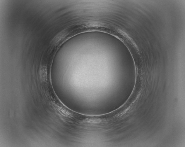 X0000076220681200610051102
