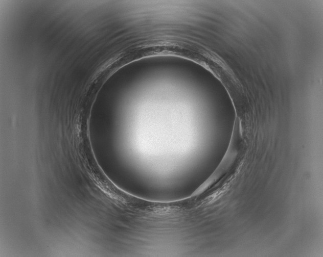 X0000076220682200610051102
