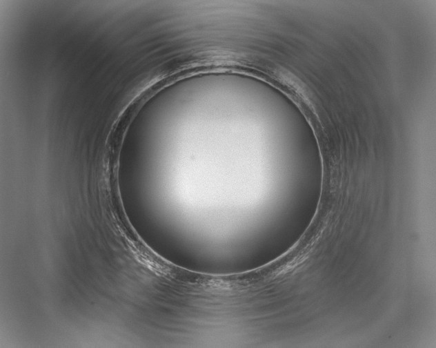 X0000076220683200610051102