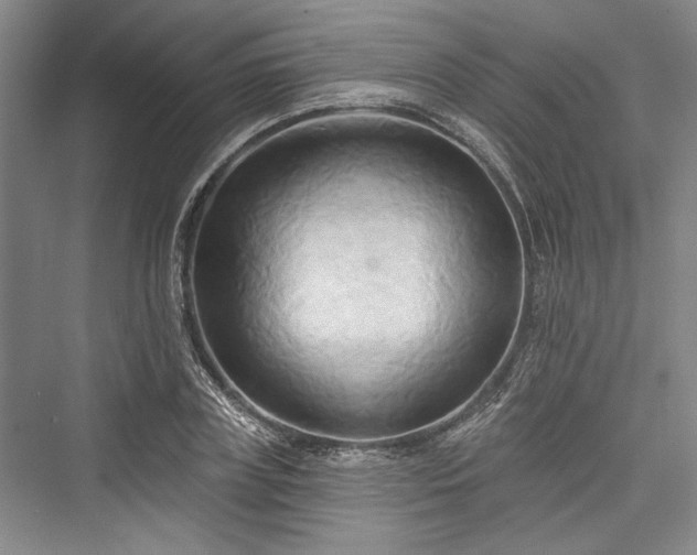 X0000076220691200610051103