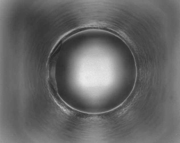 X0000076220694200610051103