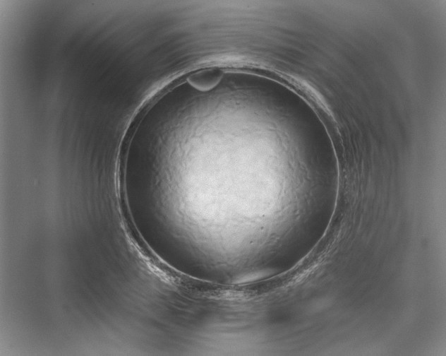 X0000076220695200610051103