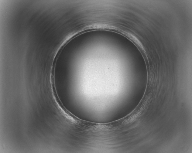 X0000076220703200610051103