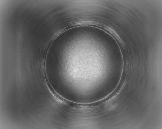 X0000076220705200610051103
