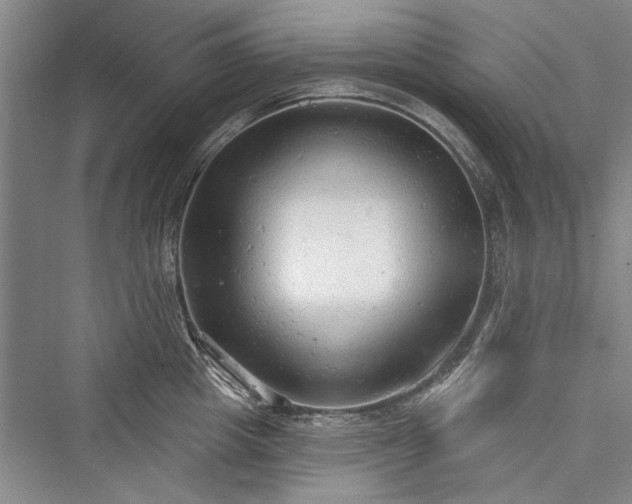 X0000076220713200610051103