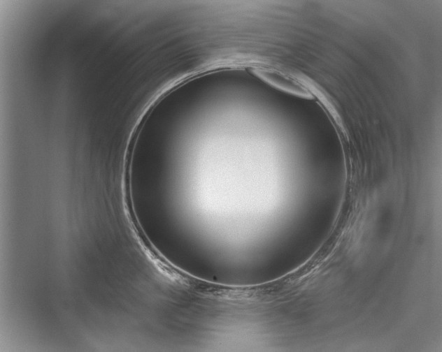 X0000076220717200610051103