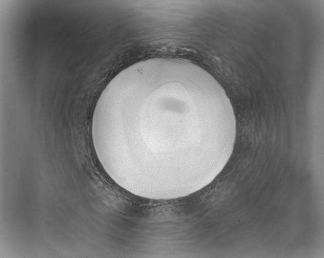 X0000076220721200610051104