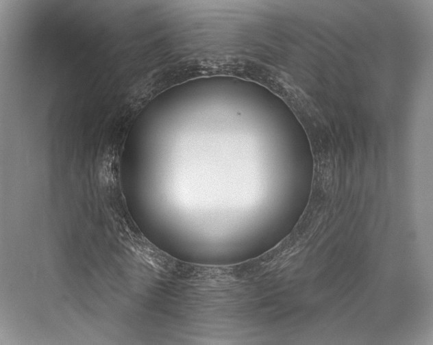 X0000076220722200610051104