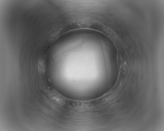 X0000076220724200610051104