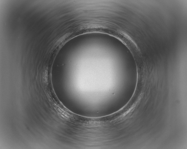 X0000076220729200610051104