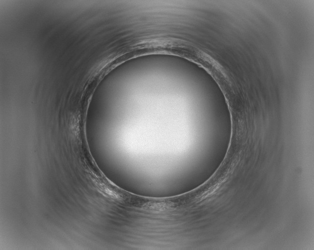 X0000076220730200610051104