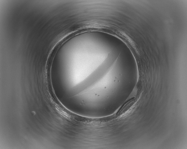 X0000076220731200610051104