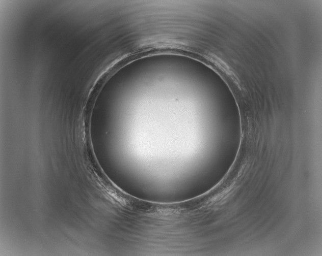 X0000076220734200610051104