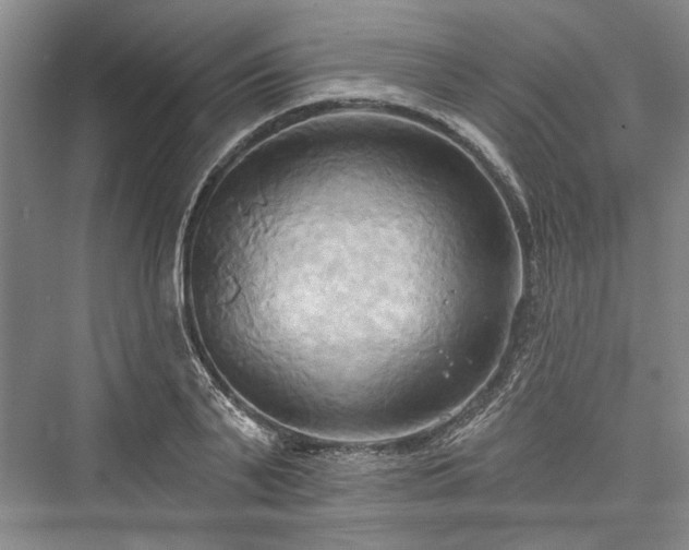 X0000076220743200610051103