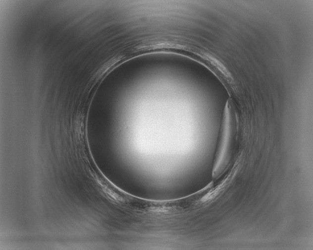 X0000076220745200610051103