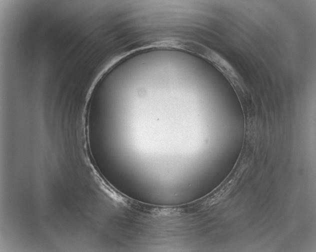X0000076220760200610051103