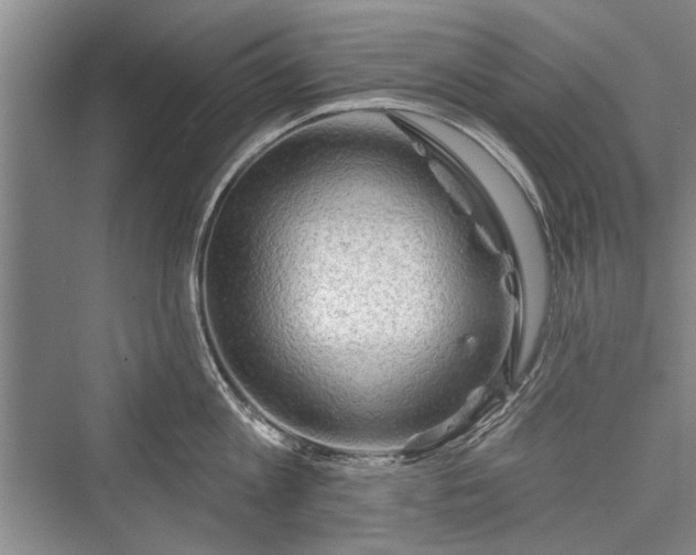 X0000076220765200610051103
