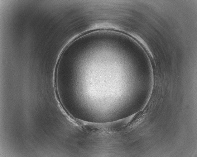 X0000076220767200610051103