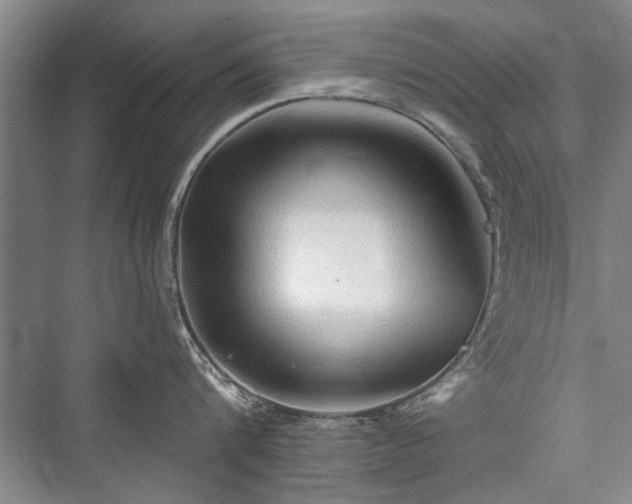 X0000076220768200610051103