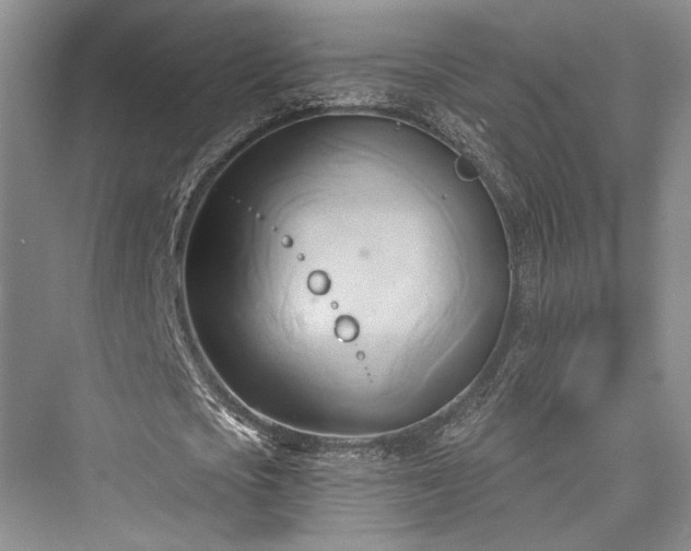 X0000076220769200610051104