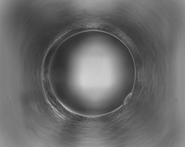 X0000076220770200610051104