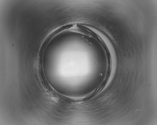 X0000076220772200610051104