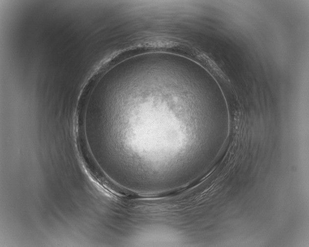 X0000076220774200610051104