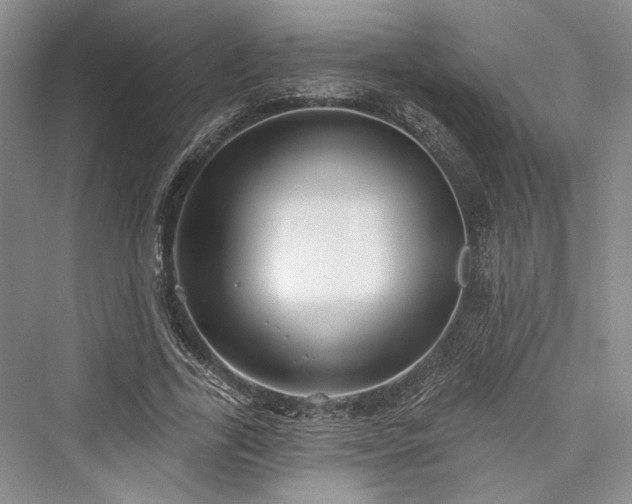 X0000076220779200610051104