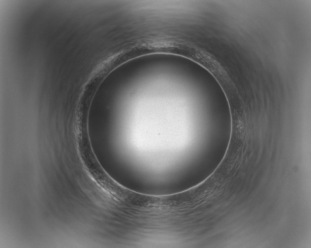 X0000076220780200610051104