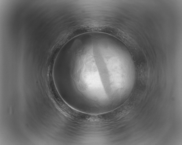 X0000076220790200610051104