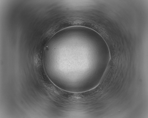 X0000076220791200610051104
