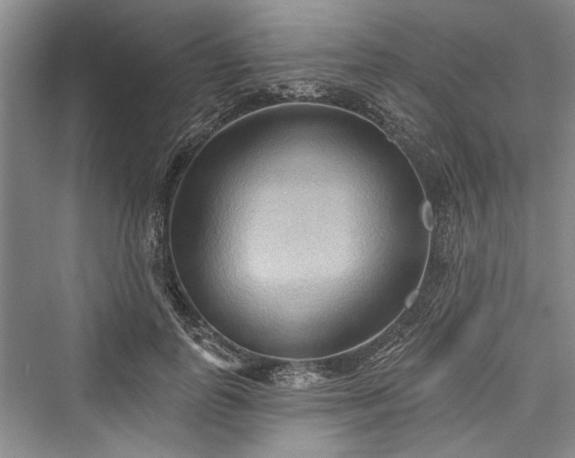 X0000076220795200610051104