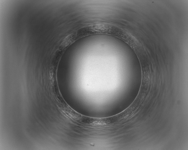 X0000076220797200610051104