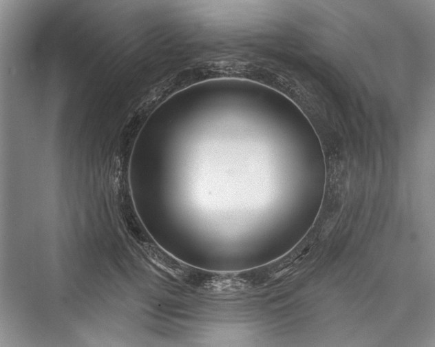 X0000076220800200610051104