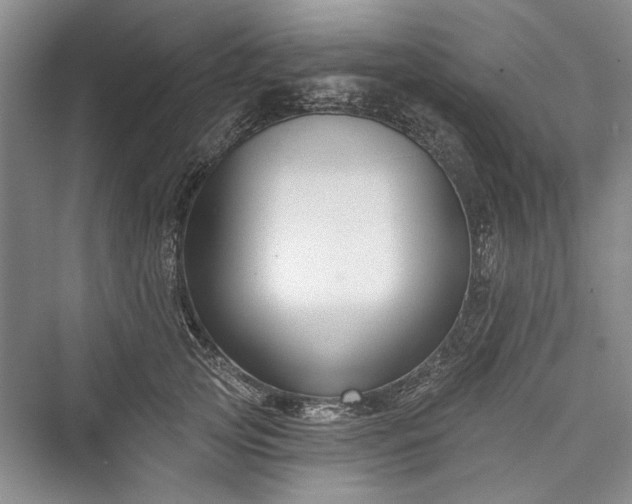 X0000076220801200610051104