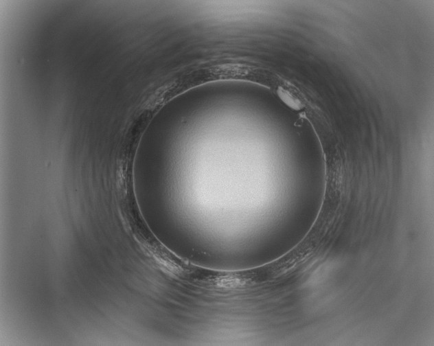 X0000076220807200610051105