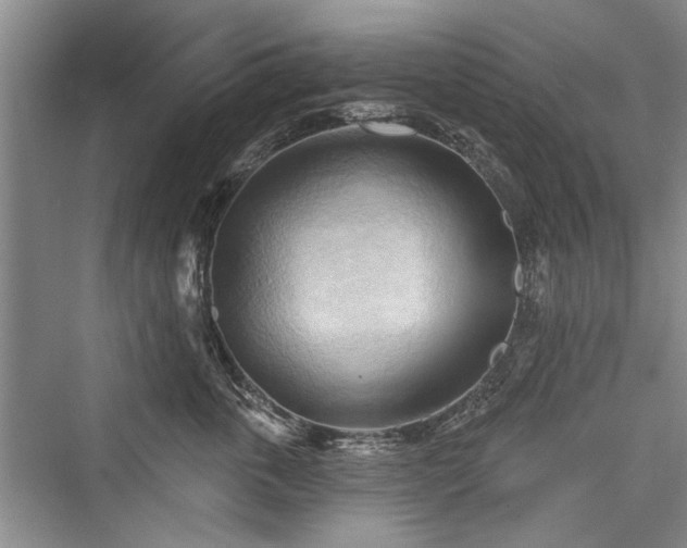 X0000076220811200610051105