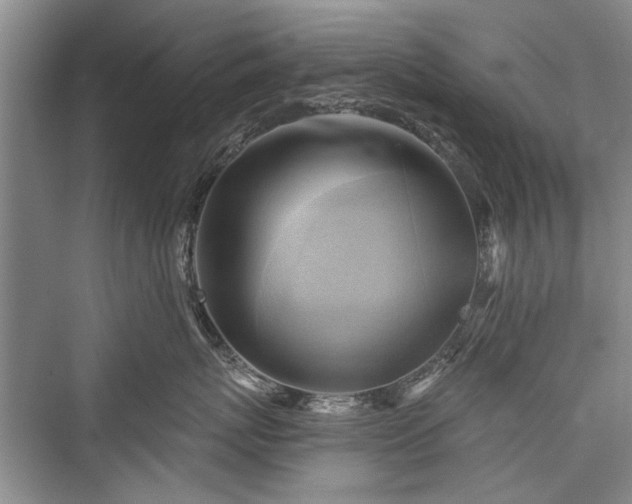 X0000076220815200610051105