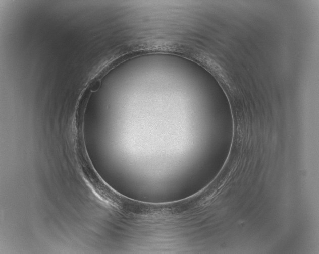 X0000076220818200610051105