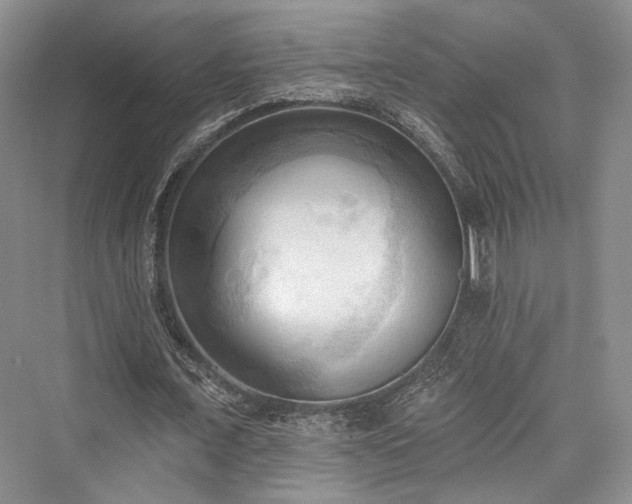X0000076220819200610051105