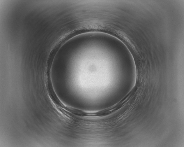 X0000076220821200610051105
