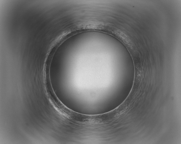X0000076220822200610051105