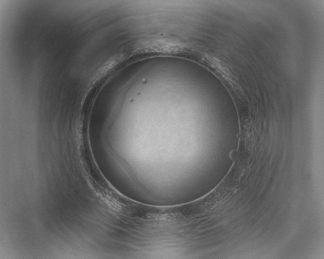 X0000076220823200610051105