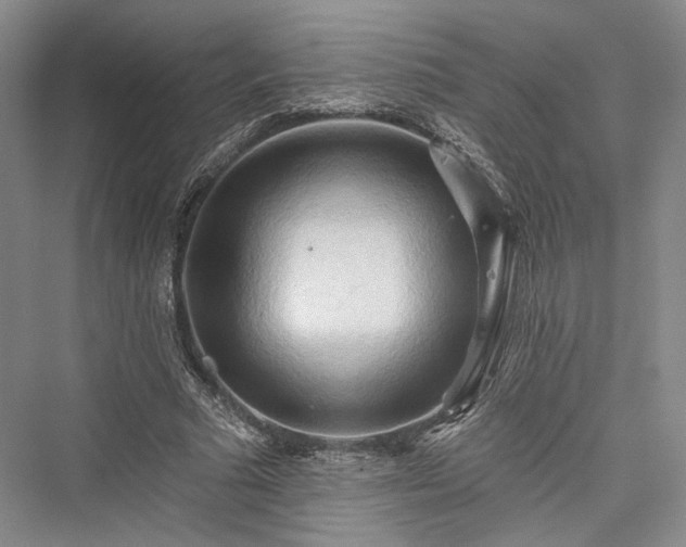 X0000076220825200610051105