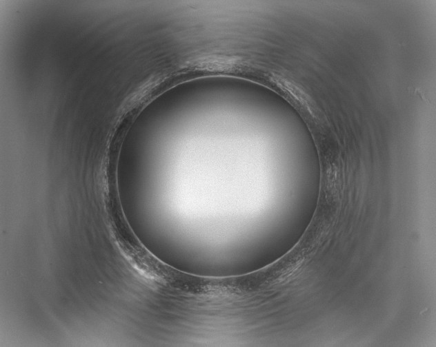 X0000076220826200610051105
