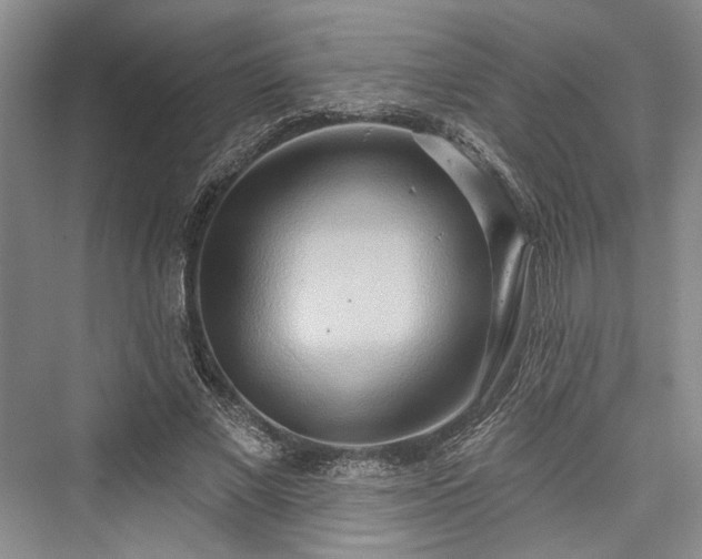 X0000076220829200610051105