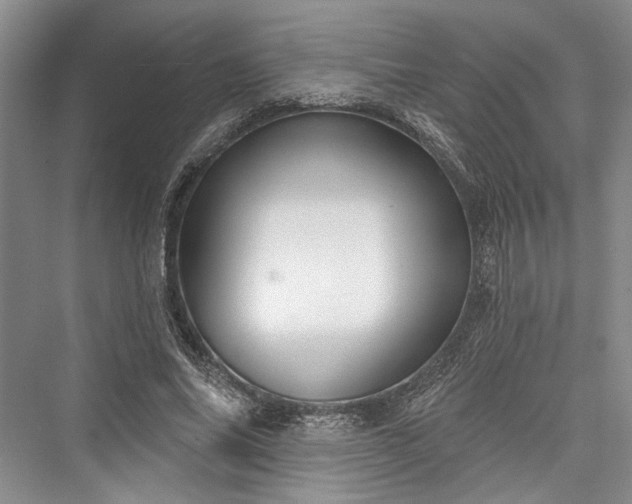 X0000076220830200610051105